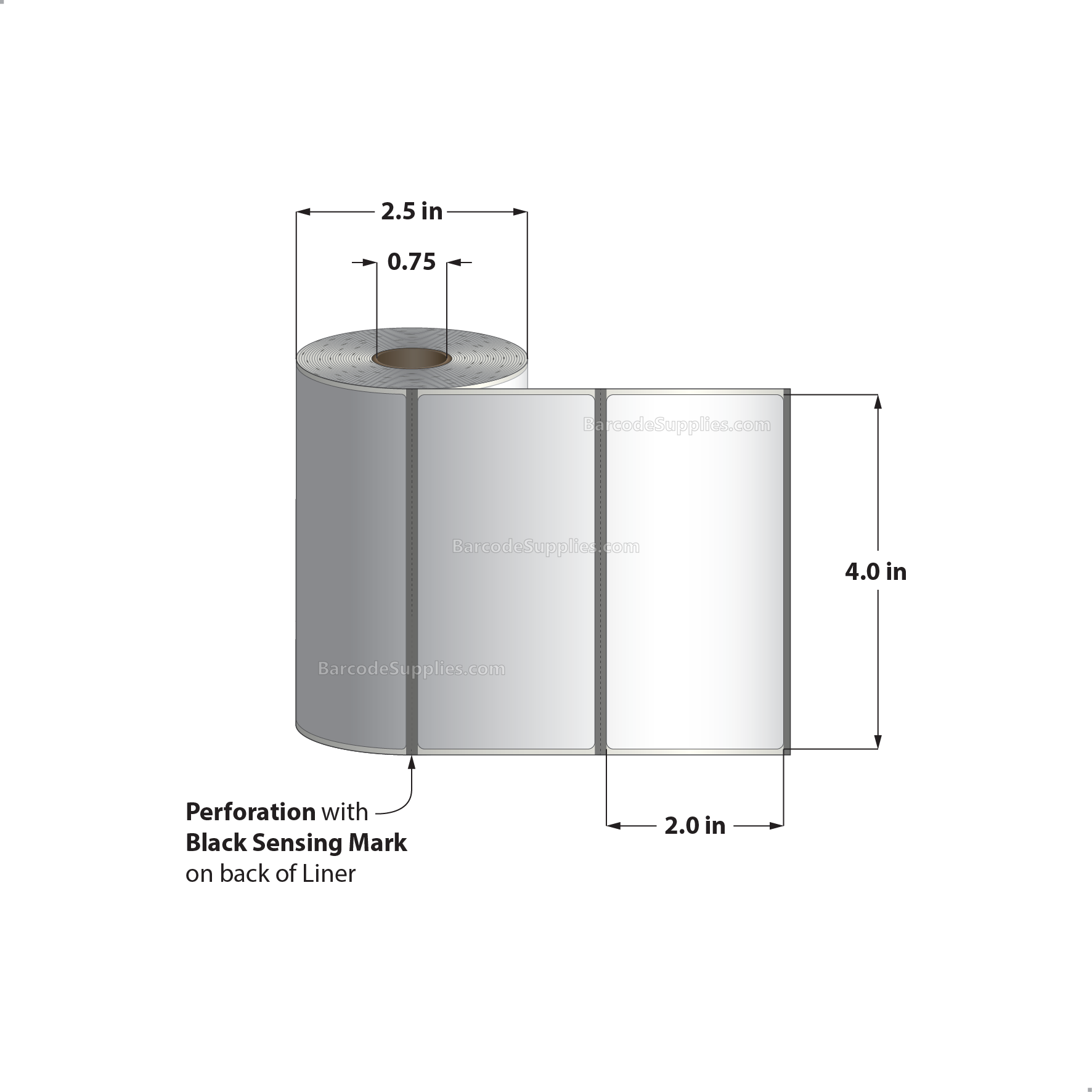 4 x 2 Direct Thermal White Labels With Acrylic Adhesive - Perforated - 300 Labels Per Roll - Carton Of 36 Rolls - 10800 Labels Total - MPN: RD-4-2-300-075